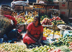 Kathmandu Market