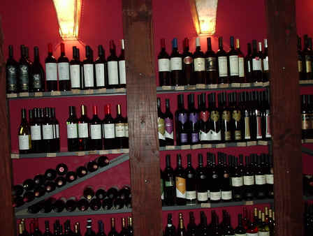 Wine capital of Argentina is in Mendoza